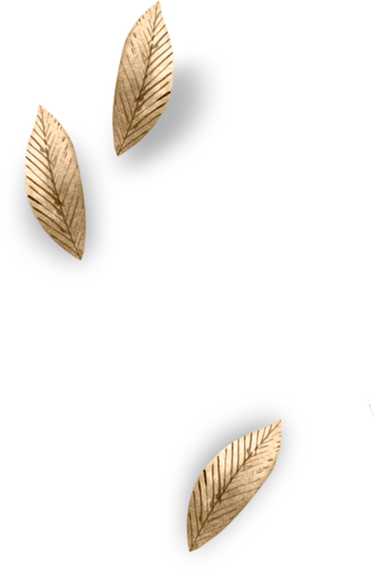 Portrait Golden Leaves